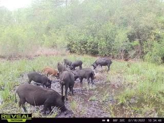 Property for sale in Madison County, Florida