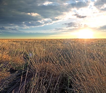 Property in Bailey County, Texas