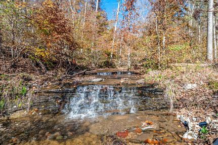 Property in Lewis County, Tennessee