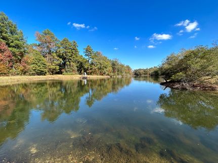 Property in Wayne County, Mississippi