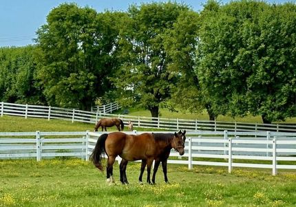 Property in Union County, Kentucky