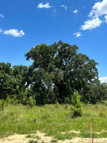 Property in Mobile County, Alabama