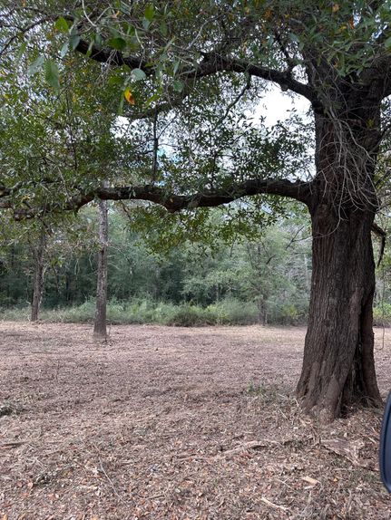 Property in Mobile County, Alabama