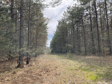 Property in Dallas County, Arkansas