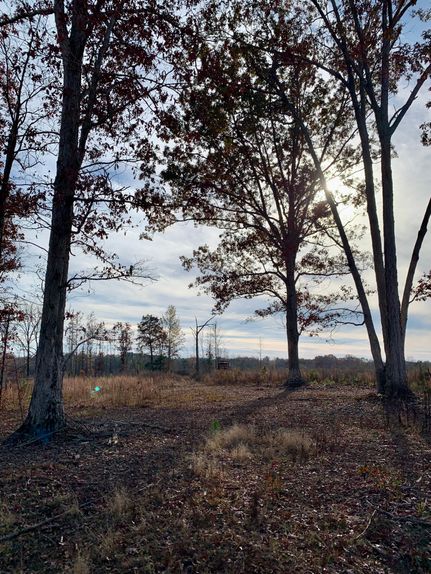 Property in Madison County, Georgia