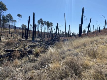 Property in Otero County, New Mexico