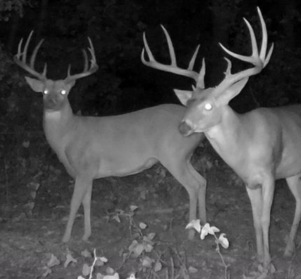 Property in Shelby County, Tennessee