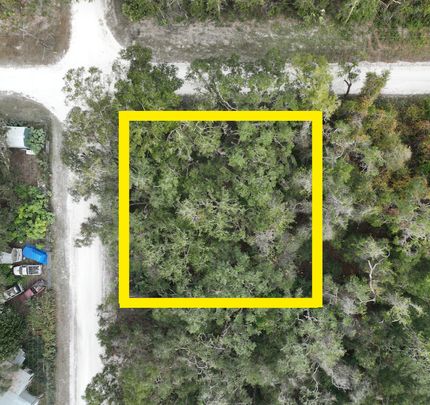 Property in Dixie County, Florida