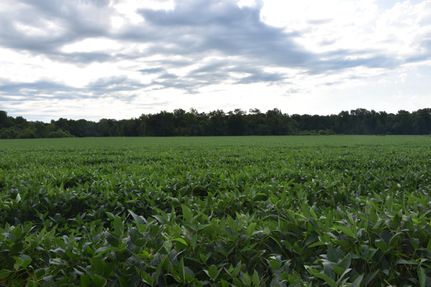 Property in Adams County, Illinois