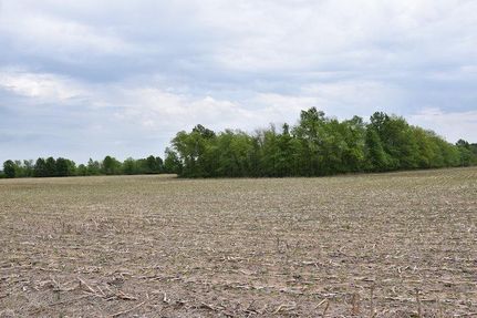 Property in Pike County, Illinois