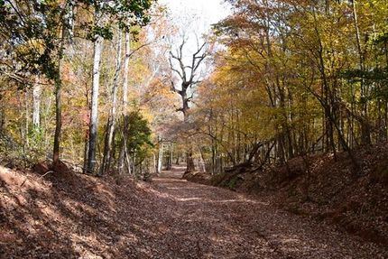 Property in Hancock County, Georgia