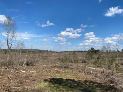 Property in Twiggs County, Georgia