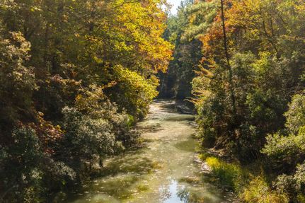 Property in Trinity County, Texas