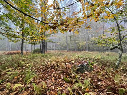 Property in Sullivan County, New York