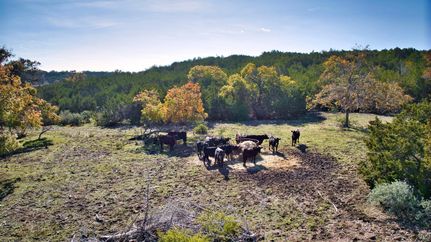 Property in Gillespie County, Texas