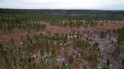 Property in Chesterfield County, South Carolina