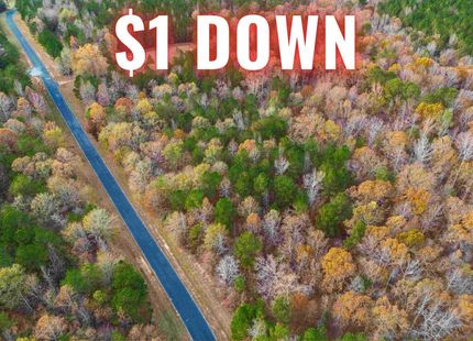 Property in Lincoln County, Georgia