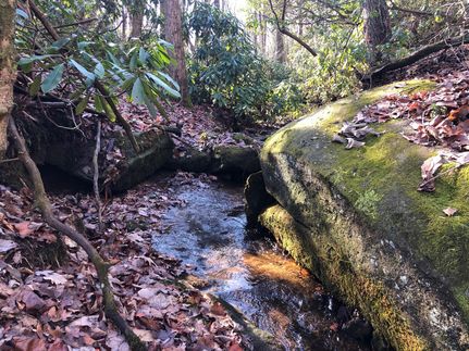 Property in Greenville County, South Carolina