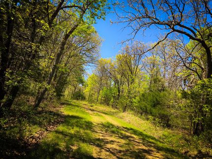 Property in Benton County, Missouri