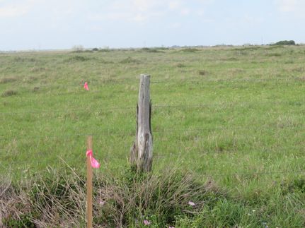 Property in Jackson County, Texas