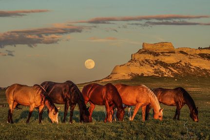 Property in Banner County, Nebraska