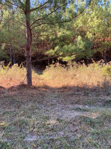 Property in Chattooga County, Georgia