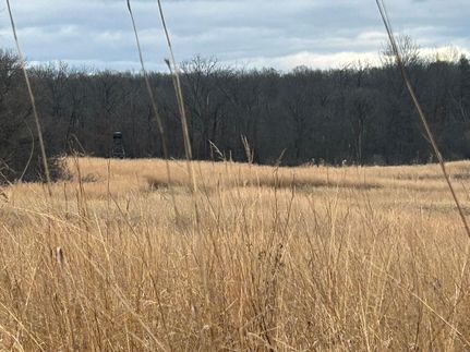 Property in Hillsdale County, Michigan