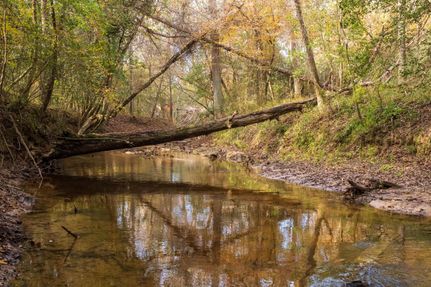 Property in Newton County, Texas