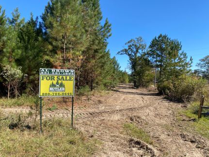 Property in Washington County, Alabama