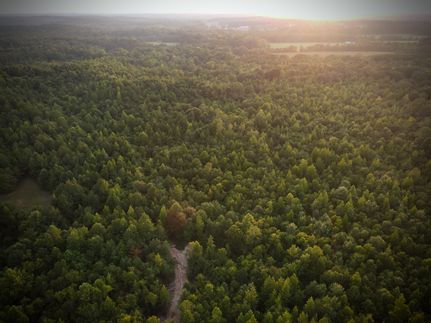 Property in Leake County, Mississippi