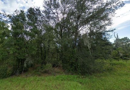 Property in Levy County, Florida