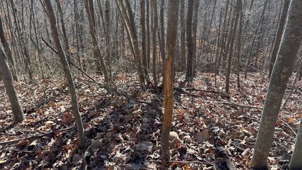 Property in Scioto County, Ohio