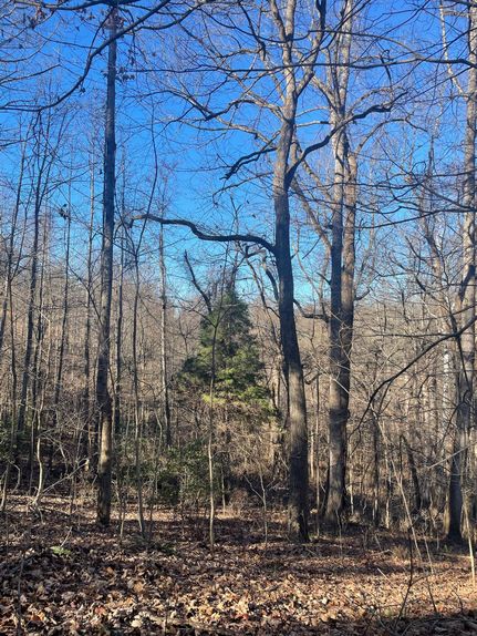 Property in Boyd County, Kentucky