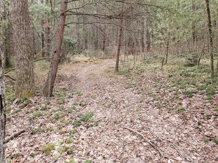 Property in Rutherford County, North Carolina