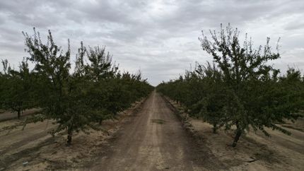 Farm Property for sale in Kern County, California