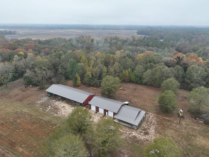 Property in Bullock County, Alabama