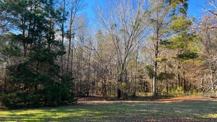 Property in Cass County, Texas