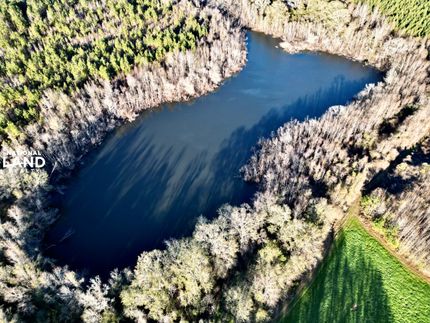 Property in Conecuh County, Alabama