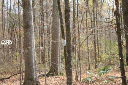 Property in Ouachita Parish, Louisiana