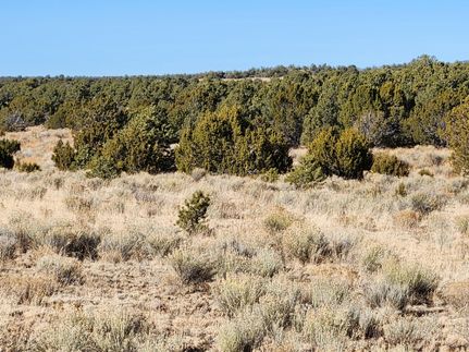 Residential Property for sale in Catron County, New Mexico