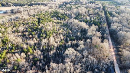 Property in Macon County, Alabama