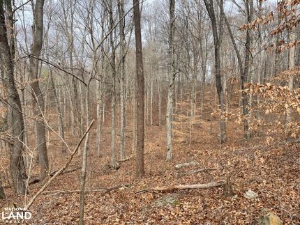 Property in Hawkins County, Tennessee