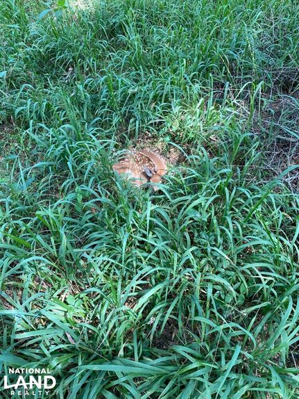 Property in Autauga County, Alabama