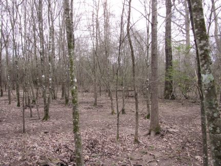 Property for sale in Dallas County, Arkansas