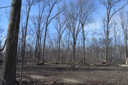 Property in Sandusky County, Ohio