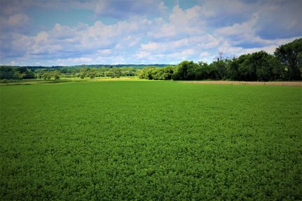 Property in Genesee County, New York