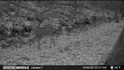 Property in Bedford County, Pennsylvania