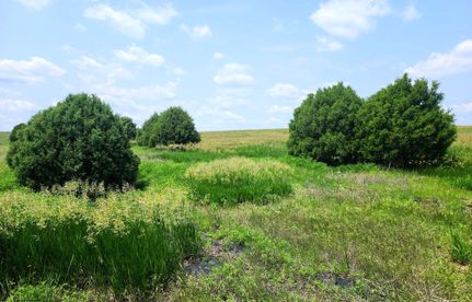 Property in Yuma County, Colorado