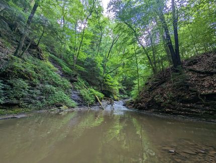 Property in Columbiana County, Ohio