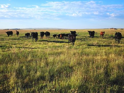 Property in Weld County, Colorado